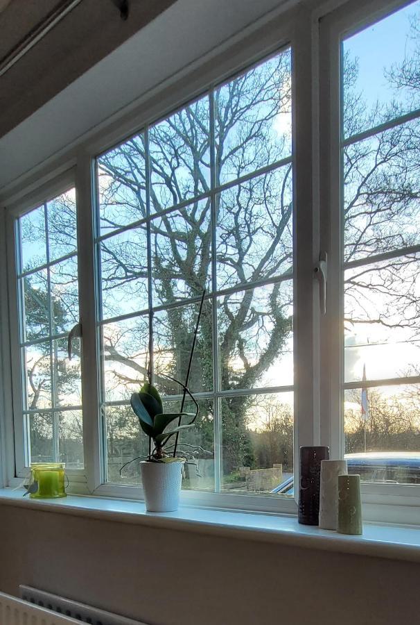 Ha'Penny Acre Bed & Breakfast Sherfield English Eksteriør bilde